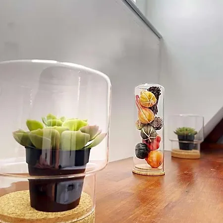 Szálloda Plantage 2*