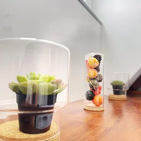 Plantage 2* Amsterdam